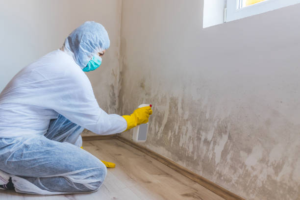 Hvac And Air Duct Mold Remediation inspection of HVAC system in Carteret